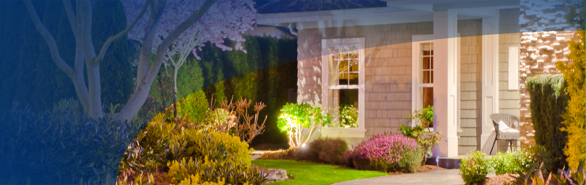small house with an immaculate yard